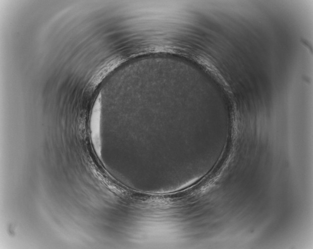 X0000102040977200808151403