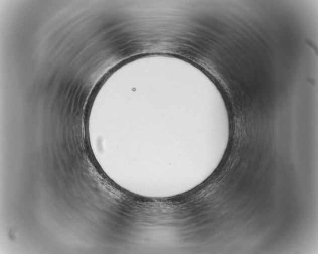 X0000102040980200808151403