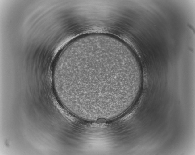 X0000102040981200808151403