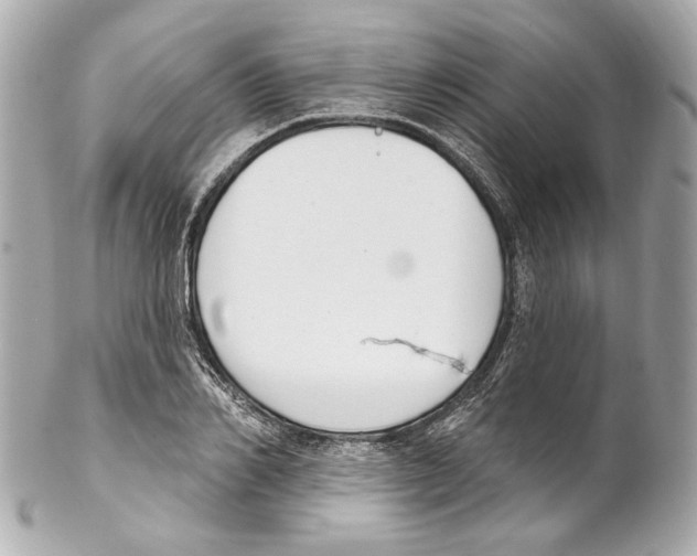 X0000102040982200808151403