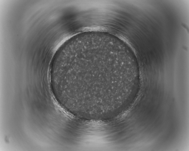 X0000102040983200808151403