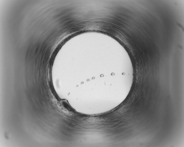 X0000102040984200808151403