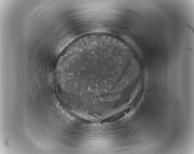 X0000102040985200808151403