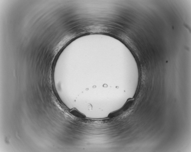 X0000102040986200808151403