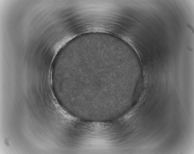 X0000102040987200808151403