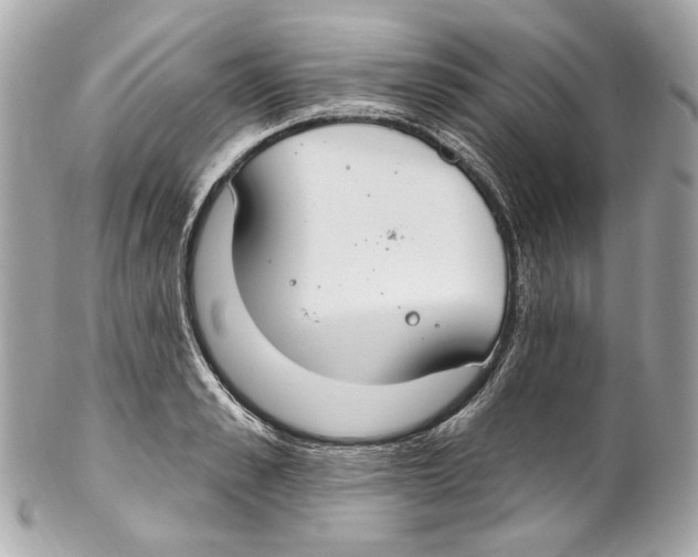 X0000102040989200808151403