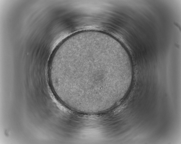 X0000102040991200808151402