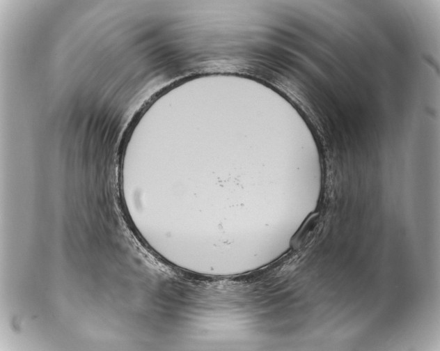 X0000102040992200808151402