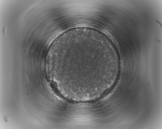 X0000102040993200808151402