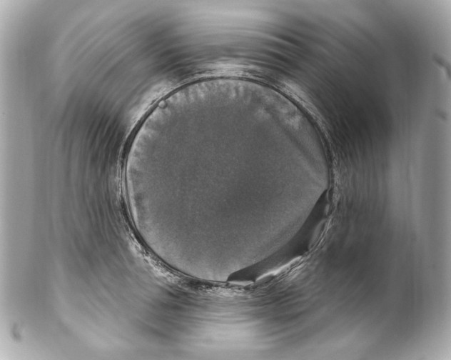 X0000102040994200808151402