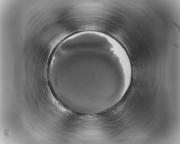X0000102040995200808151402