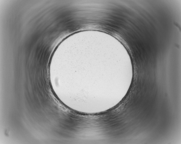 X0000102040996200808151402