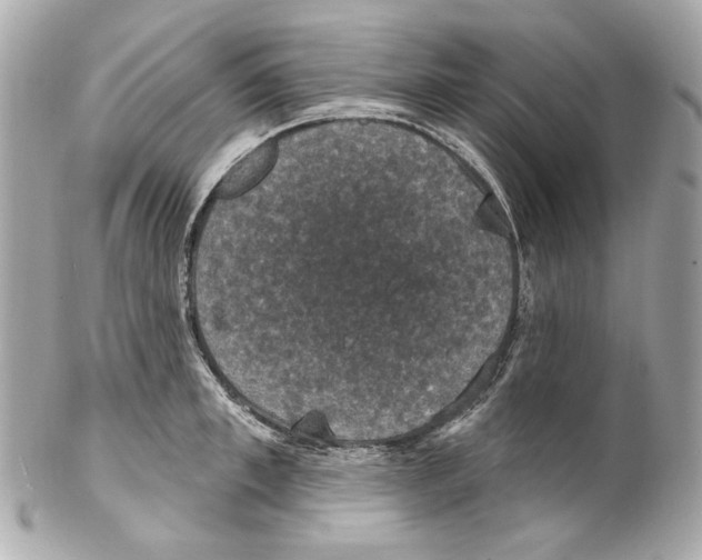 X0000102040997200808151402