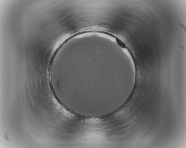 X0000102040998200808151402