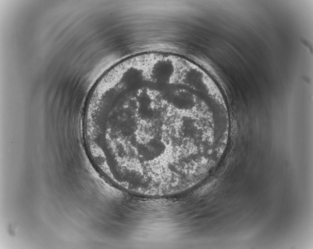 X0000102040999200808151402