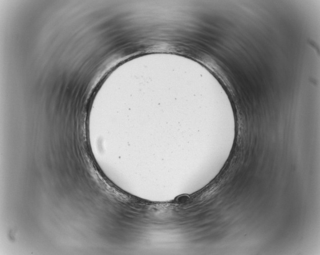 X0000102041000200808151402