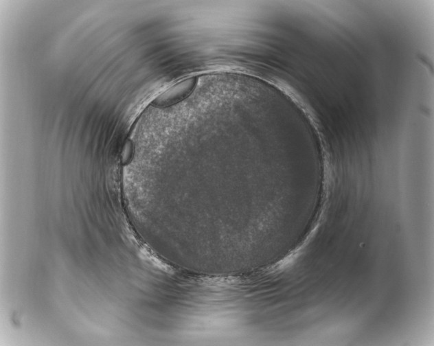 X0000102041001200808151402