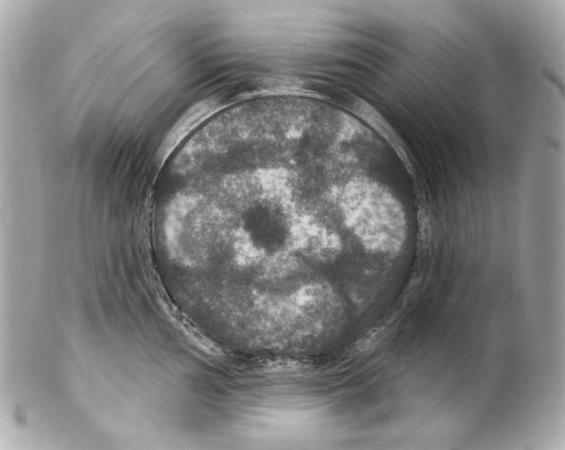 X0000102041002200808151402