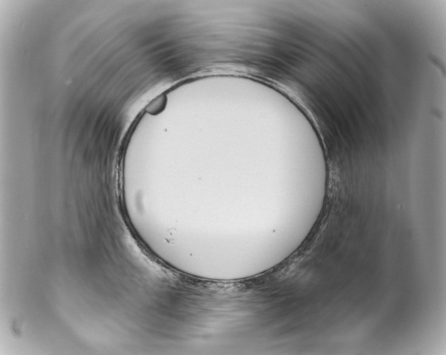 X0000102041003200808151402