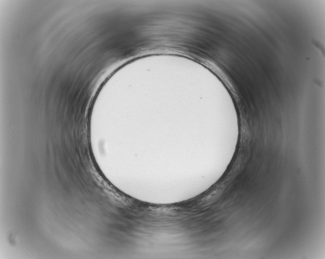 X0000102041004200808151402