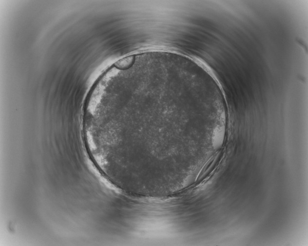 X0000102041005200808151402