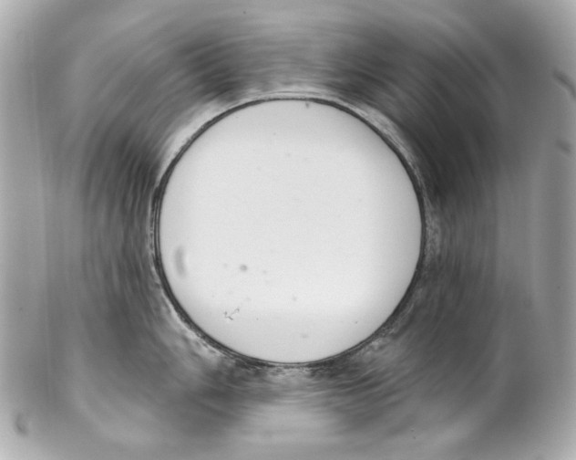 X0000102041006200808151402