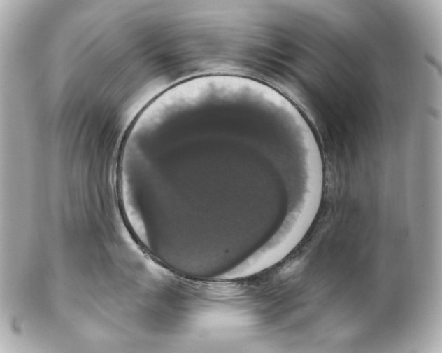 X0000102041007200808151402