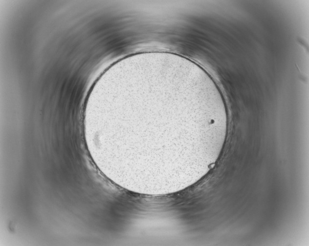 X0000102041008200808151402