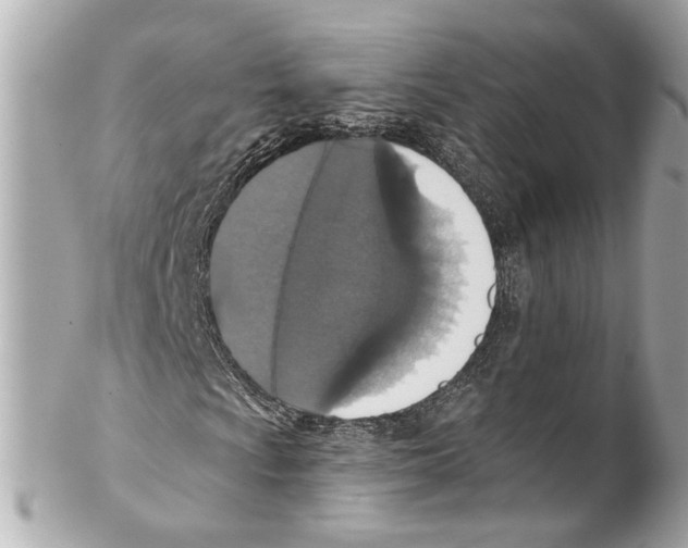 X0000102041009200808151402
