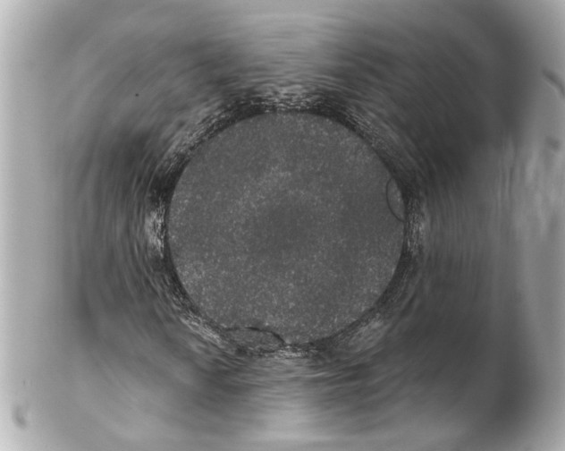 X0000102041010200808151402