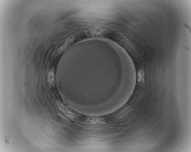 X0000102041011200808151402