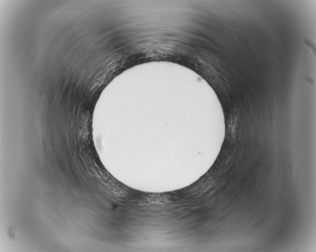 X0000102041012200808151402