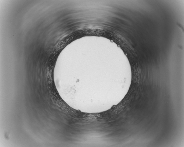 X0000102041013200808151402