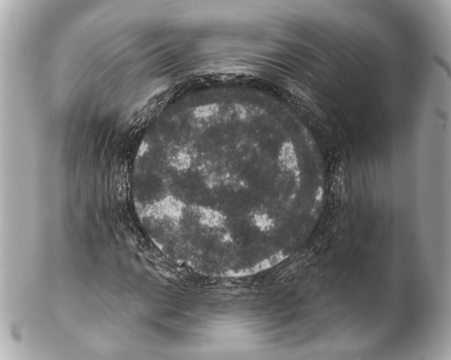 X0000102041014200808151402