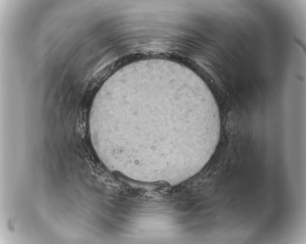 X0000102041015200808151402