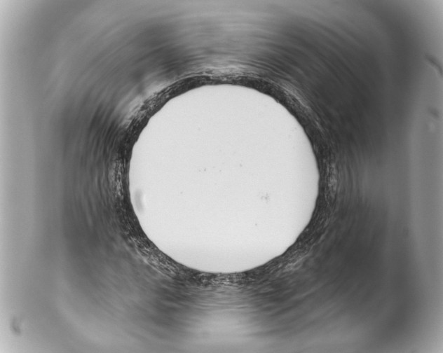 X0000102041016200808151402