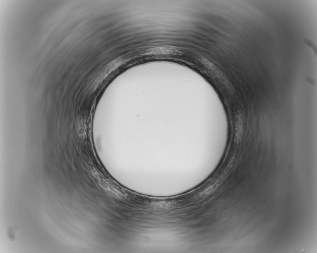 X0000102041017200808151402