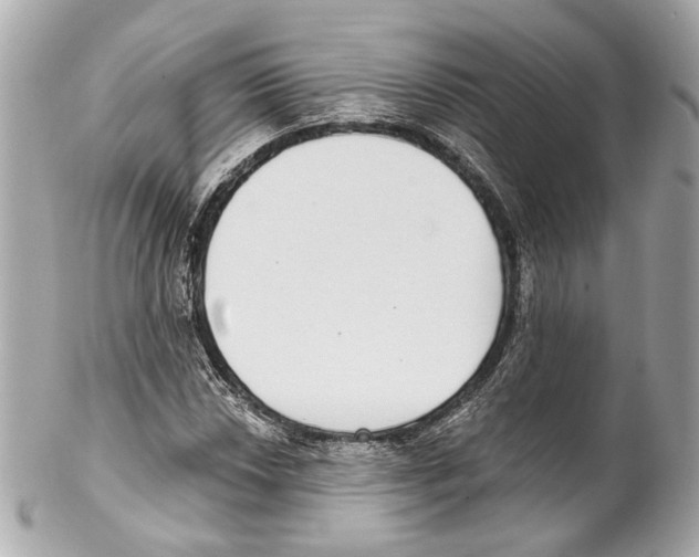 X0000102041018200808151402