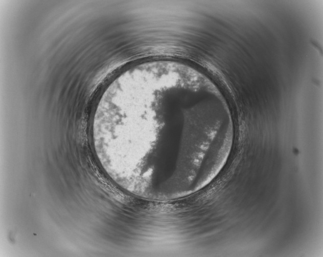 X0000102041019200808151402