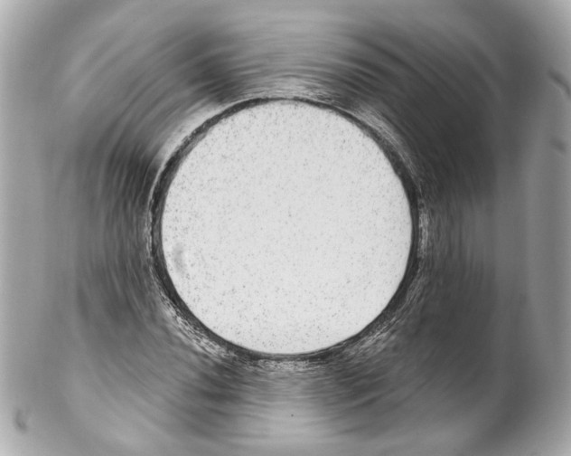X0000102041020200808151402