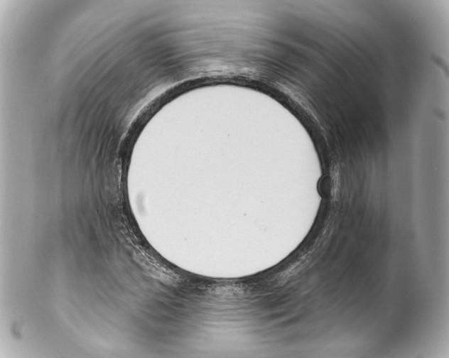X0000102041021200808151402