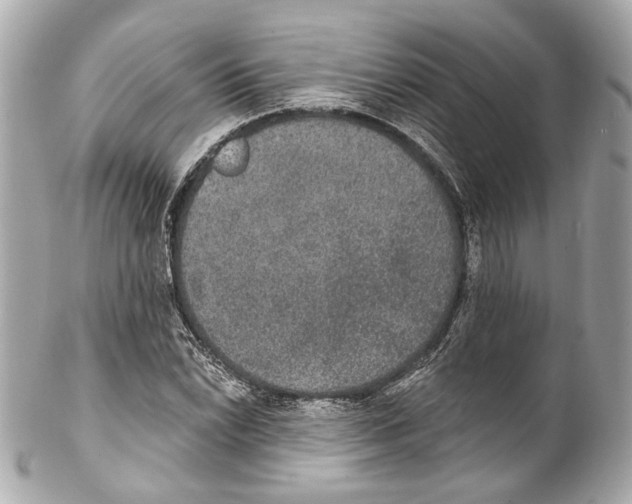 X0000102041022200808151402