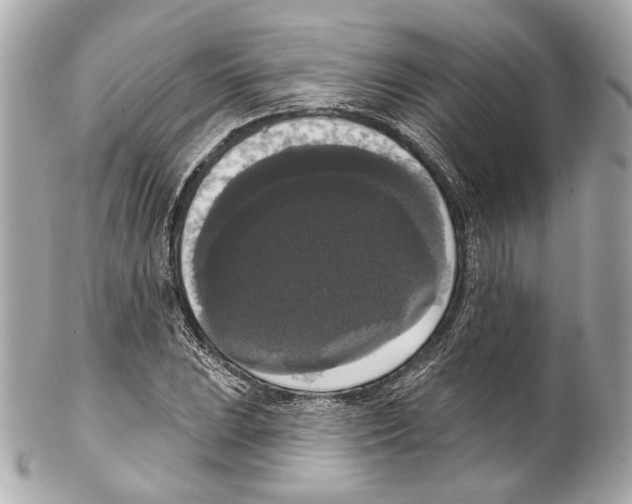 X0000102041023200808151402
