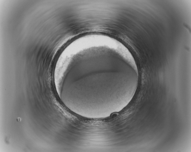 X0000102041024200808151402