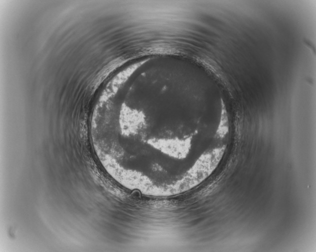 X0000102041025200808151402