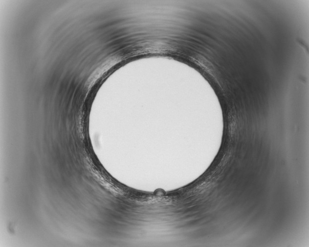 X0000102041026200808151402