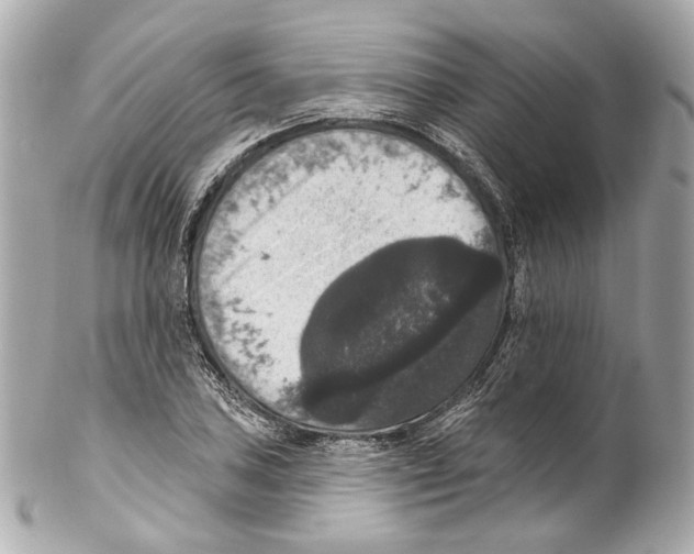 X0000102041027200808151402