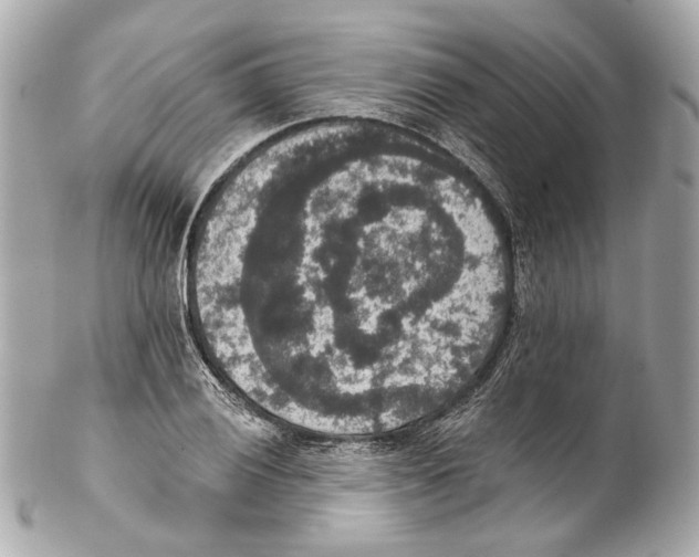 X0000102041028200808151402