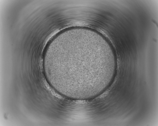 X0000102041029200808151402