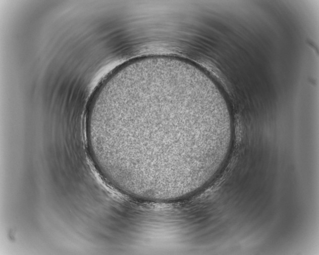 X0000102041030200808151402